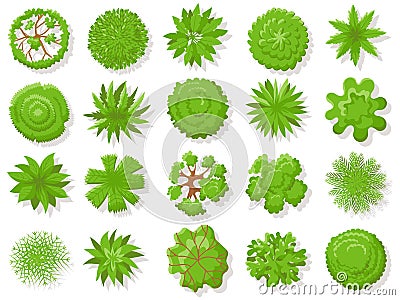 Top view plants. Tropical trees, green plant tree from above for aerial map isolated vector collection Vector Illustration