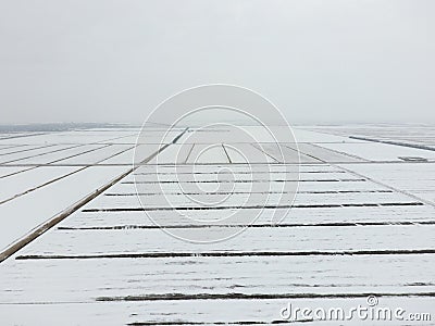 Top view of a plowed field in winter. A field of wheat in the snow Stock Photo