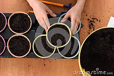 Top view on pots with seedlings, children`s hands took one of the pots background Stock Photo