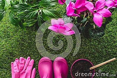 top view of protective gloves, rubber boots, flower pot with hand rake and flowers on grass Stock Photo