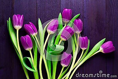 Top View of Purple Tulips on Wooden Purple Background Stock Photo