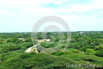 Top view rameswaram forest Stock Photo