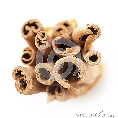 Top view of Raw Organic Cinnamon sticks (Cinnamomum verum). Stock Photo