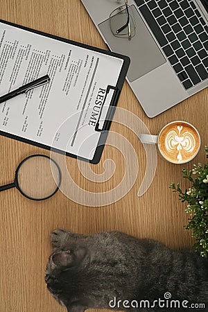 Top view of resume forms or CV and laptop computer on wooden table. Career, employment and recruitment concept Stock Photo
