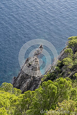 Top view of a rocky cove on the island of Gorgona, Italy Stock Photo