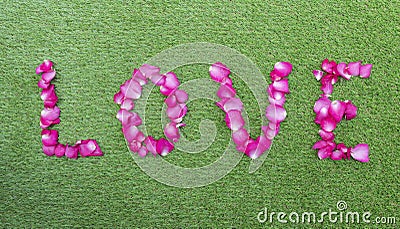 Top view rose petals in a row of love. Valentine day concept Stock Photo