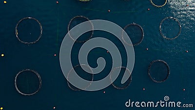 Top view at the round ponds encircled with net of fish farm in Adriatic sea Stock Photo