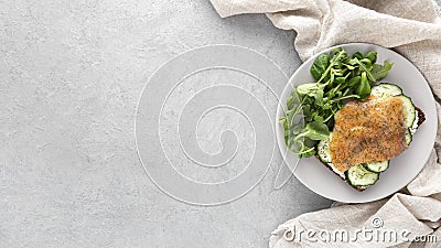 Top view sandwich with cucumbers salmon plate with copy space. High quality and resolution beautiful photo concept Stock Photo