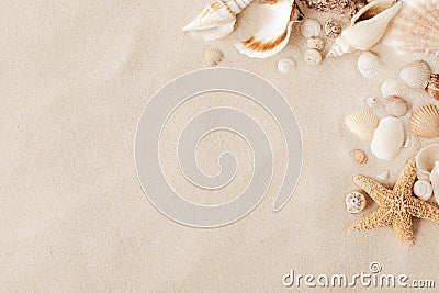 Top view of a sandy beach with collection of seashells and starfish as natural textured background for aesthetic summer design Stock Photo