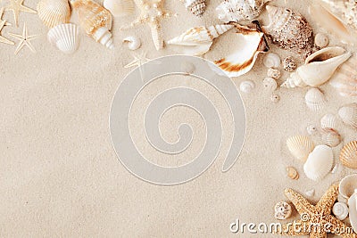 Top view of a sandy beach with collection of seashells and starfish as textured background for summer desig Stock Photo