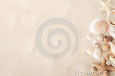 Top view of a sandy beach with collection of seashells and starfish as textured background for summer travel design Stock Photo