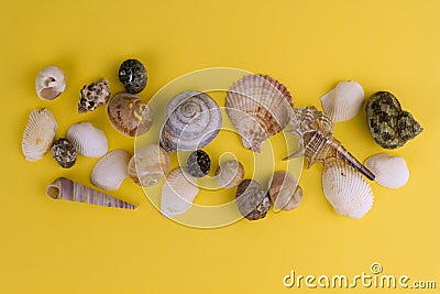 Top view seashells Stock Photo