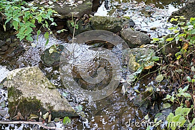 Top view shot clear water flowing downstream in a forest Stock Photo