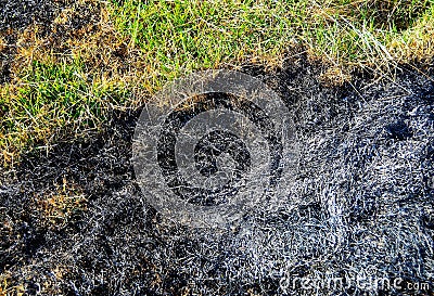 Top view shot of field with ash after a vegetation fire Stock Photo