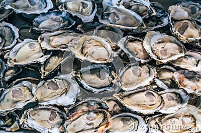 Top view of shucked oysters Stock Photo