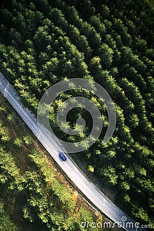 Top view of single blue car driving through forest in Zlatibor, Serbia Stock Photo