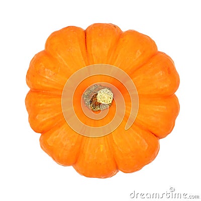 Mini pumpkin top view isolated on white Stock Photo