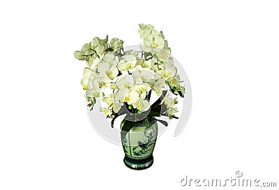 Top view, single orchids flowers in white pot isloated on white background for design or stockphoto, floral summer, tropical Stock Photo