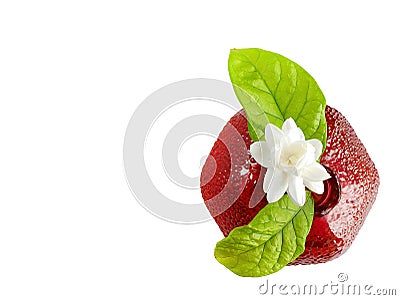 Top view, Single white flower of Grand Duke of Tuscany, Arabian white jasmine, Jasminum sambac with green leaf in a red Stock Photo