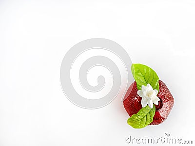 Top view, Single white flower of Grand Duke of Tuscany, Arabian white jasmine, Jasminum sambac with green leaf in a red Stock Photo