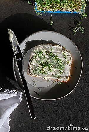 top view of a slice of homemade bread with vegan cream cheese and fresh watercress Stock Photo