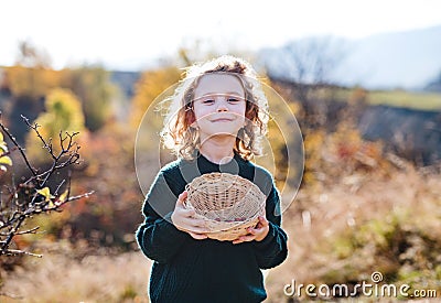 Small girl on a walk in nature, collecting rosehip fruit. Stock Photo