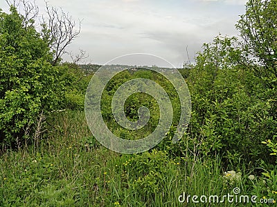 top view small town Avdeevka rural landscape houses trees in spring Stock Photo