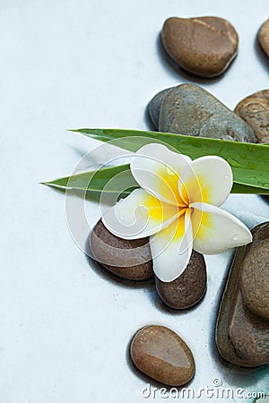 Top view of spa objects. Stones, flower and leaves Stock Photo