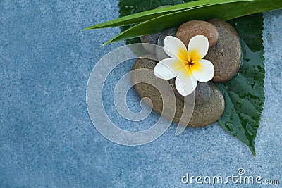 Top view of spa objects with white flowr on stones Stock Photo