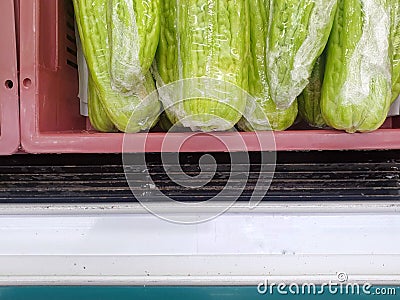 Top view of stack bitter melon in basket as a background for sale Stock Photo