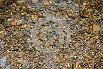 Top view stones in the river. The Rock ground cover water backgrounds. Small pebble stones in creeks Stock Photo