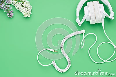 Top view of the table of a teenage child, composition headphones flower on light green background Stock Photo