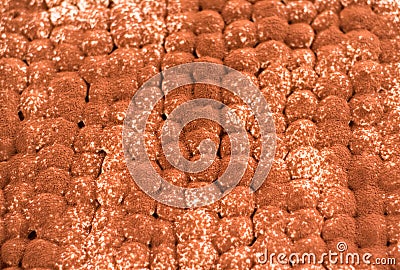 Top view of Tiramisu with cacao powder on it. Close up of cacao surface and texture Stock Photo