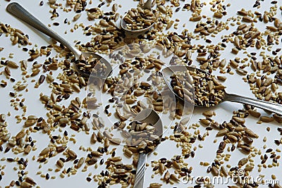 Top view of toasted mix of seeds - sunflower, lin and sesame seeds Stock Photo