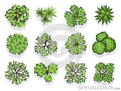 Top view tree collection - green foliage isolated on white background Vector Illustration