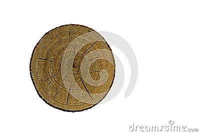 Top view of a tree stump isolated on white background. Stock Photo