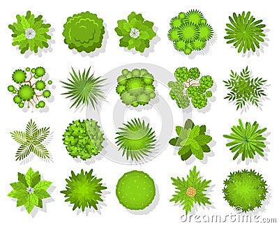 Top view trees and bushes. Aerial landscape elements. Forest and tropical tree, green park bush map icons look from Vector Illustration