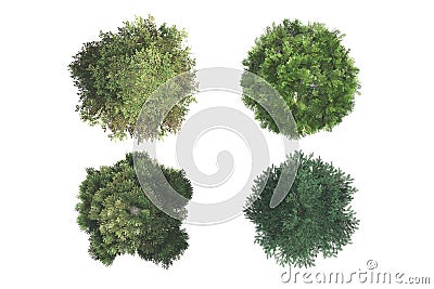 Top View of Trees Stock Photo