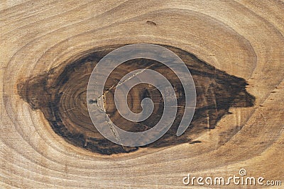 Top view of walnut tree cross-section with a big knot. Wood grain texture. Natural background Stock Photo