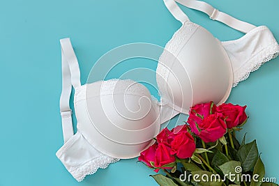 Top view white lace lingerie with red roses on green background. Set of woman essential underwear or accessory. Flat lay Stock Photo