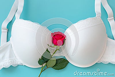 Top view white lace lingerie with red roses on green background. Set of woman essential underwear or accessory. Flat lay, Stock Photo