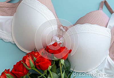 Top view white lace lingerie with red roses on green background. Set of woman essential underwear or accessory. Flat lay, Stock Photo