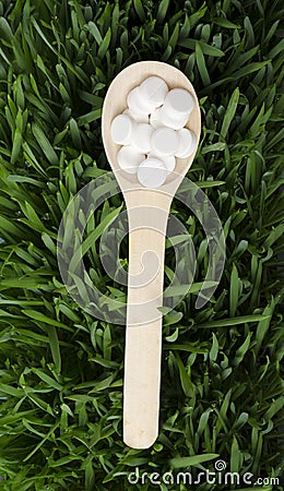 Top view of wooden spoon full of white pills on the green grass.Concept of organic and natural medical treatments Stock Photo