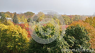 A Top View of woods in fall in a foggy morning Stock Photo