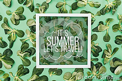 top view of words its summer, lets travel in frame and beautiful fresh green leaves Stock Photo