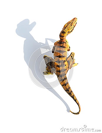 Top view yellow velociraptor toy on white background with shadow Stock Photo