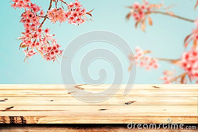Top of wood table with pink cherry blossom flower sakura on sky background in spring season Stock Photo
