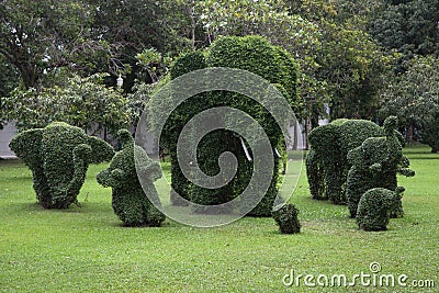 Topiary of Elephants at Bang Pa-In Palace Stock Photo