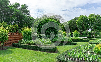 Topiary English formal garden style, gardens with geometric shape of bush and shrub, decoration with flowering plant blooming Stock Photo