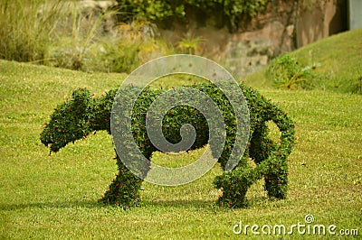 Topiary figure of a lioness Stock Photo